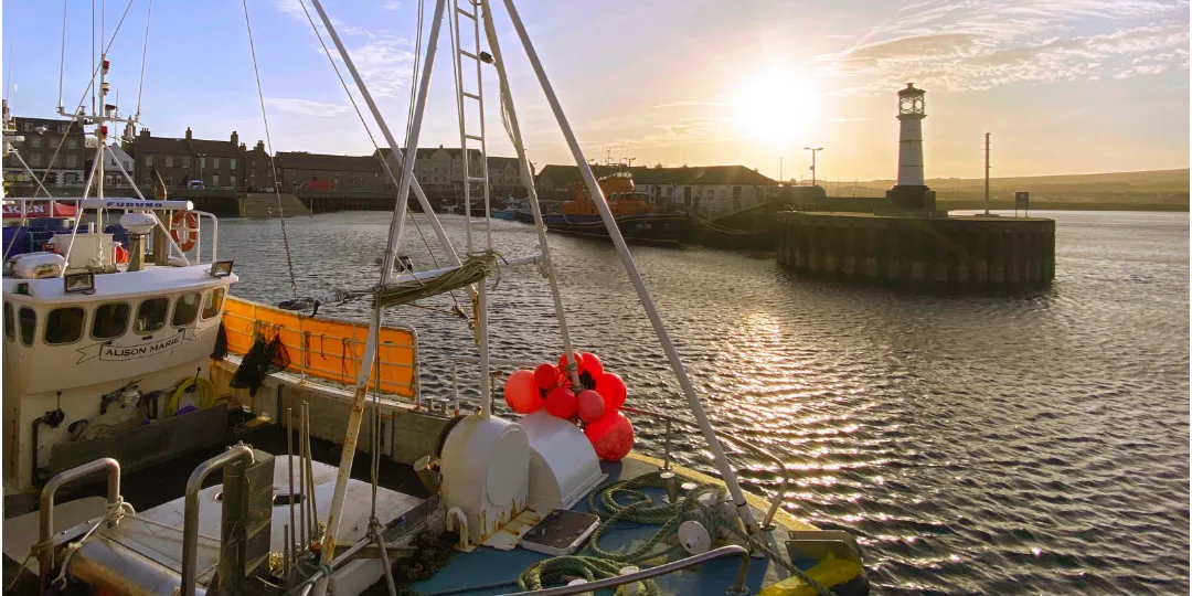 off-grid-odyssey-van-life--pets-kirkwall-boats-orkney