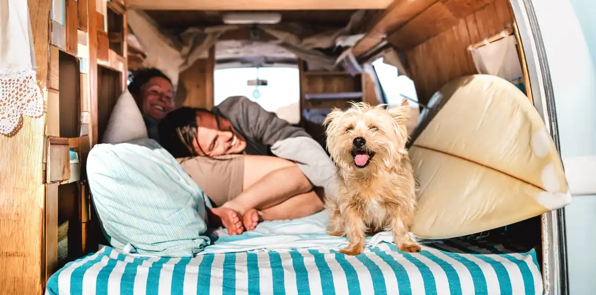 campervan van life with pet, travelcouple