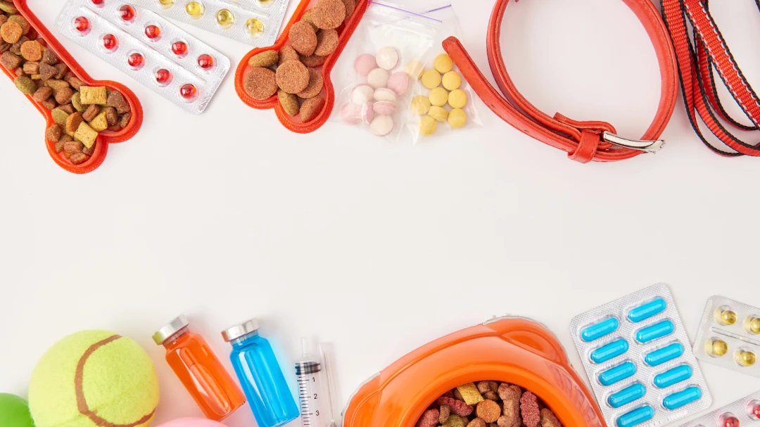 selection-of-pets-treats-and-medicine-on-table