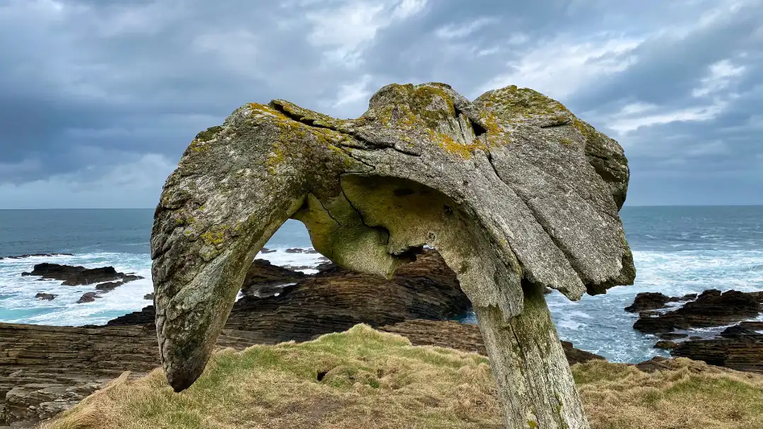 skiba-geo-close-up-orkney