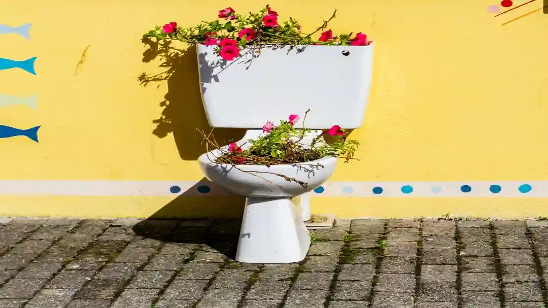 nice-public-toilet-with-flowers-