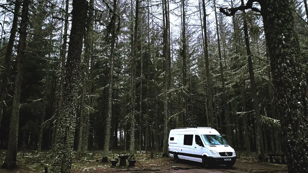 wild-camping-daviot-woods-inverness wild-camping-daviot-woods-inverness